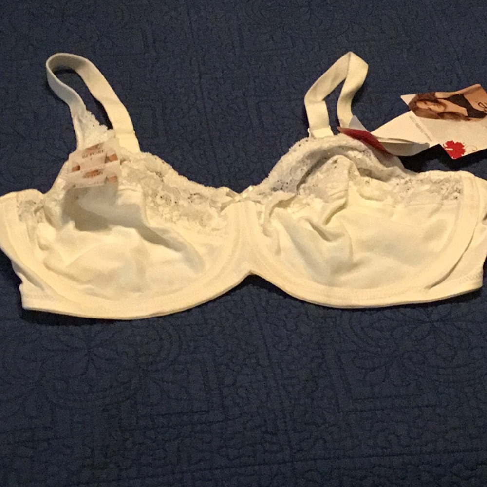 NWT Lilyette Minimizer 40D Bra